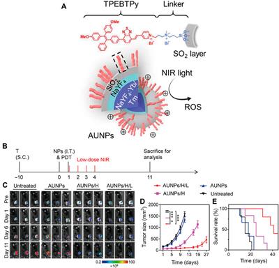 Light-activated nanomaterials for tumor immunotherapy